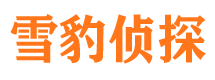 安次侦探公司